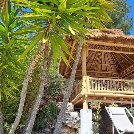 Spacious Dream Near Monaco